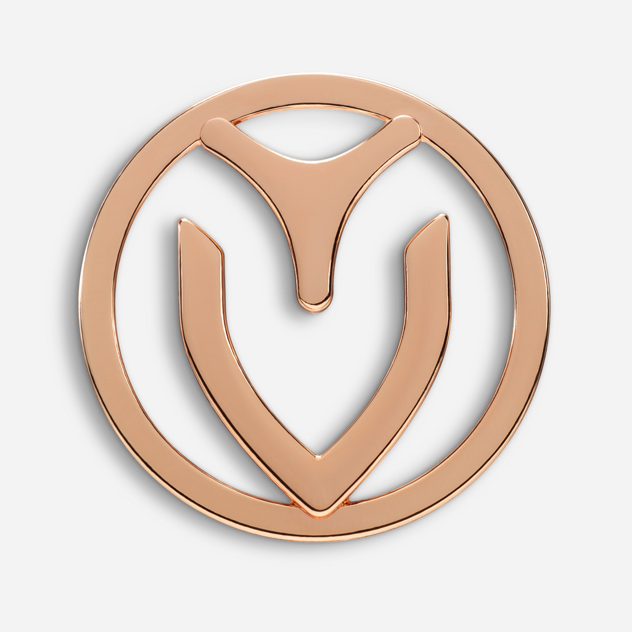 #color_rose gold
