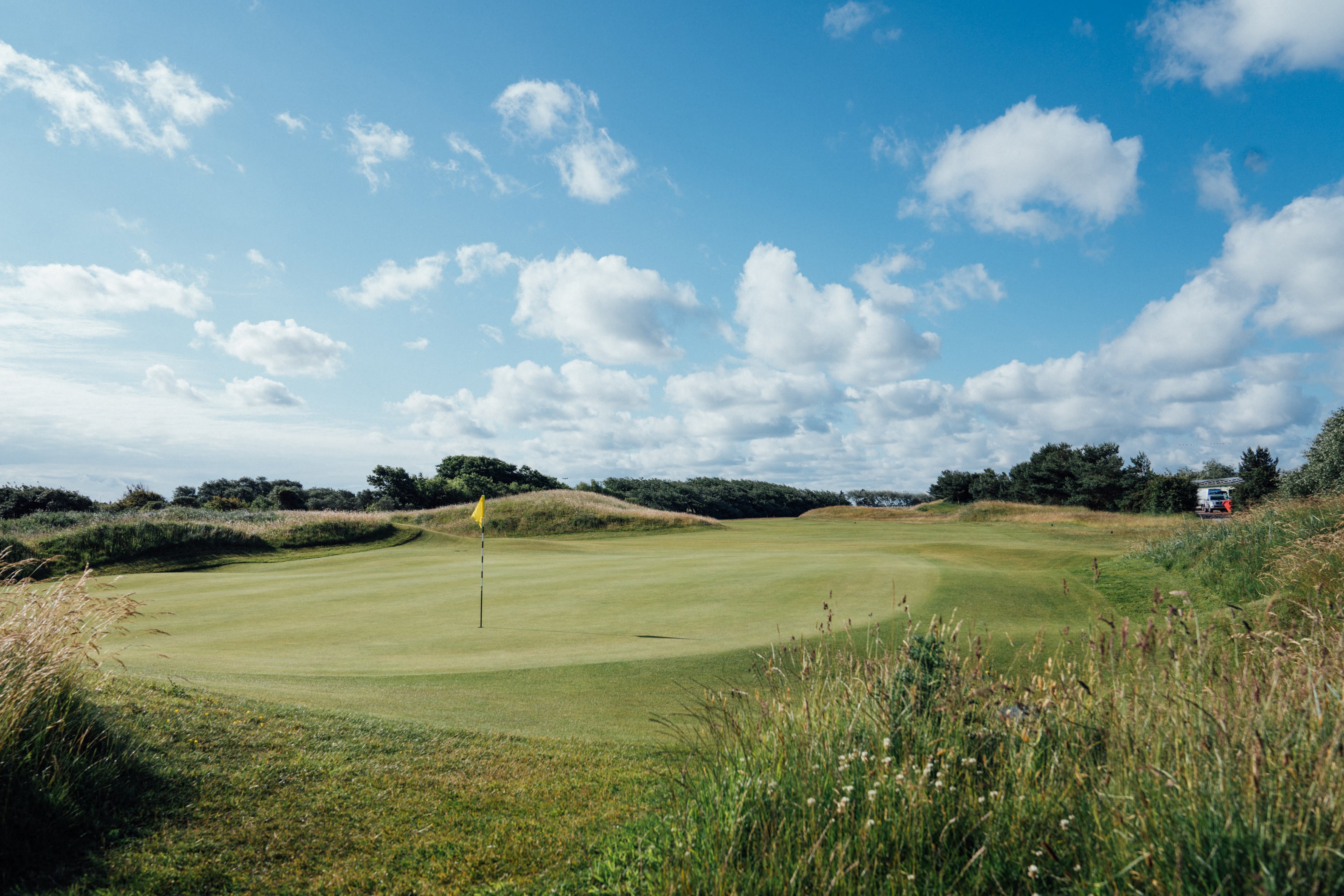 The green on a golf course