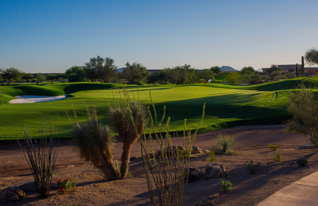 Image of a golf course